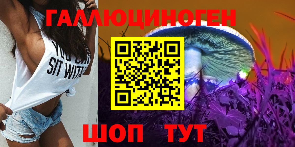 Псилоцибиновые грибы GOLDEN TEACHER Губкинский