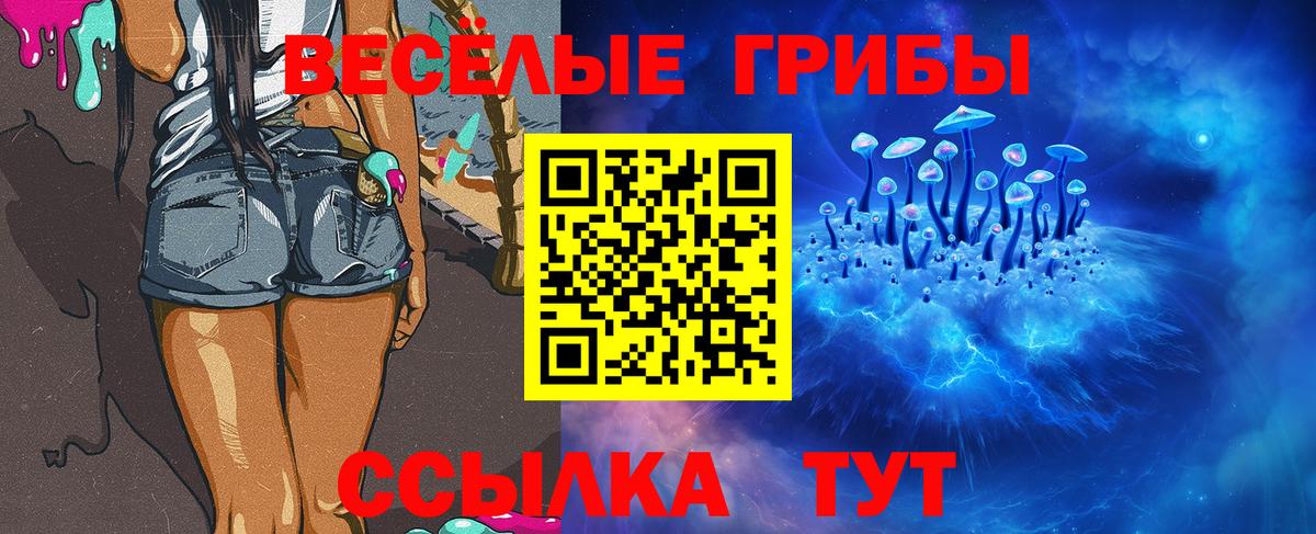 Губкинский  Галлюциногенные грибы ЛСД  Вход с VPN  Галлюциногенные грибы прущие грибы 