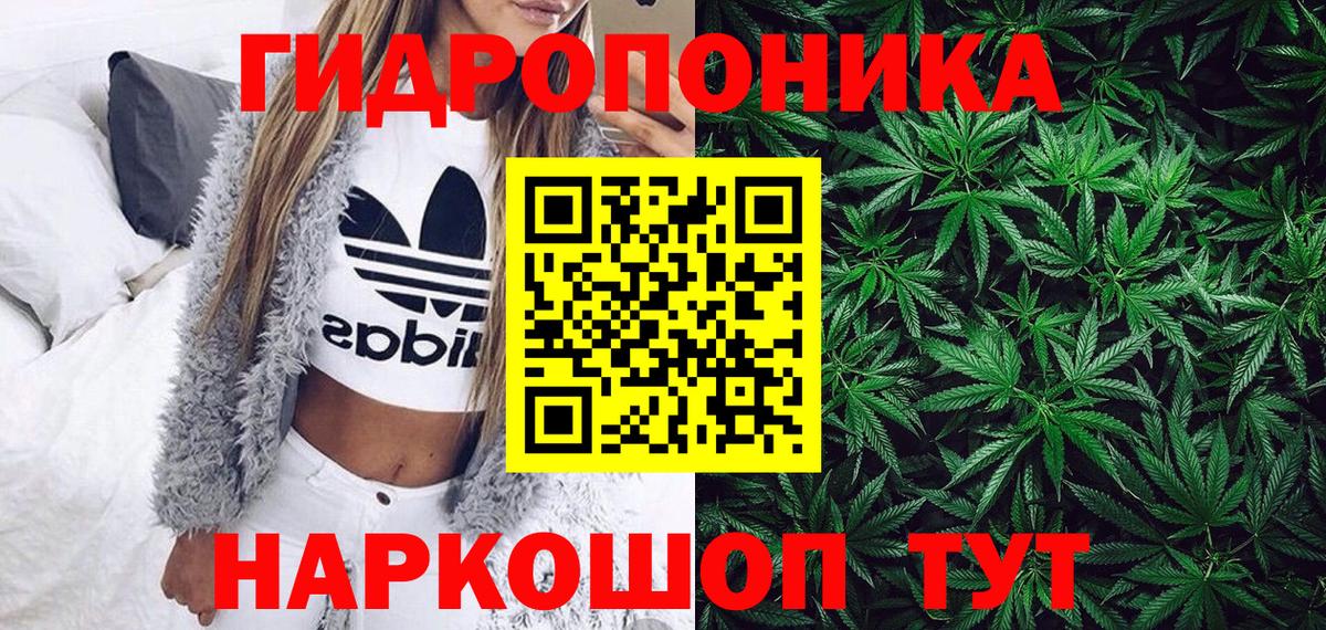 Губкинский  Бошки марихуана тримм  Шишки марихуана марихуана  Вход с VPN  Бошки Шишки индика 